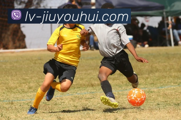 多媒体互动体验